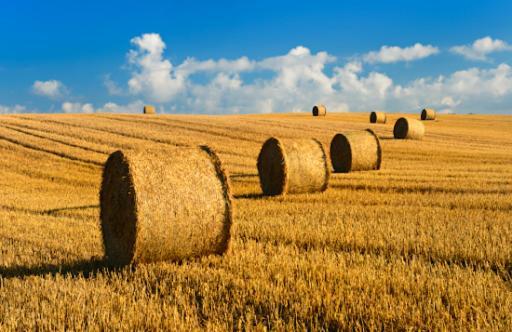 Le Clos Saint Vincent Manneville-es-Plains ภายนอก รูปภาพ